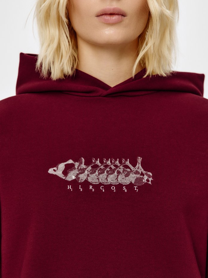 Худи Анатомия (L-XL, Бордовый)